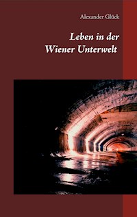 Leben in der Wiener Unterwelt - Alexander Glück - ebook