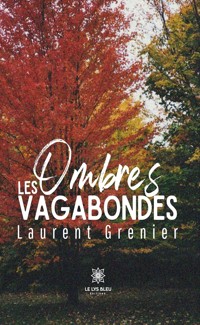 Les ombres vagabondes - Laurent Grenier - ebook