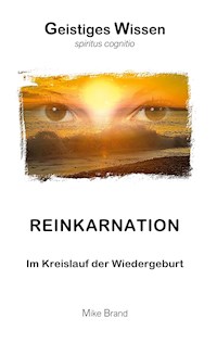 Reinkarnation - Mike Brand - ebook