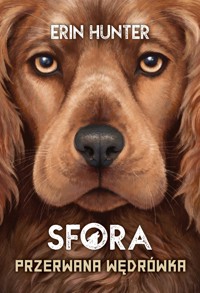 Przerwana wędrówka. Seria Sfora. Tom 4 - Erin Hunter - książka
