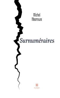 Surnuméraires - Michel Mesrouze - ebook