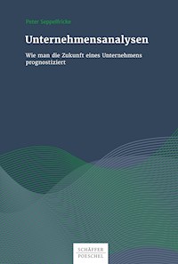 Unternehmensanalysen - Peter Seppelfricke - ebook