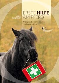 Erste Hilfe am Pferd - Anke Ruesbueldt - ebook