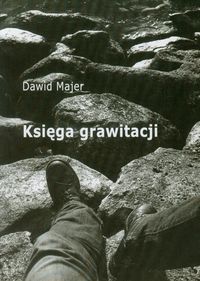Księga grawitacji - Majer Dawid - książka