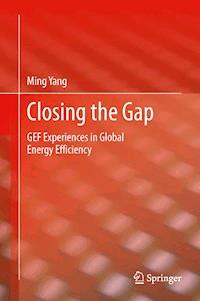 Closing the Gap - Ming Yang - ebook