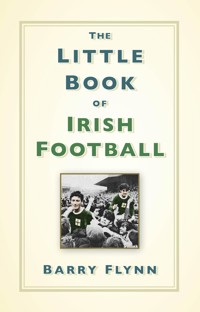The Little Book of Irish Football - Barry Flynn - ebook