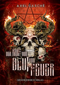 Der Ruf von Blut und Feuer - Axel Gasché - ebook