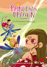 Princesas Dragón 5: Los hermanos Tormenta - Pedro Mañas Romero - ebook