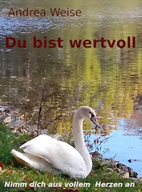 Du bist wertvoll - Andrea Weise - ebook
