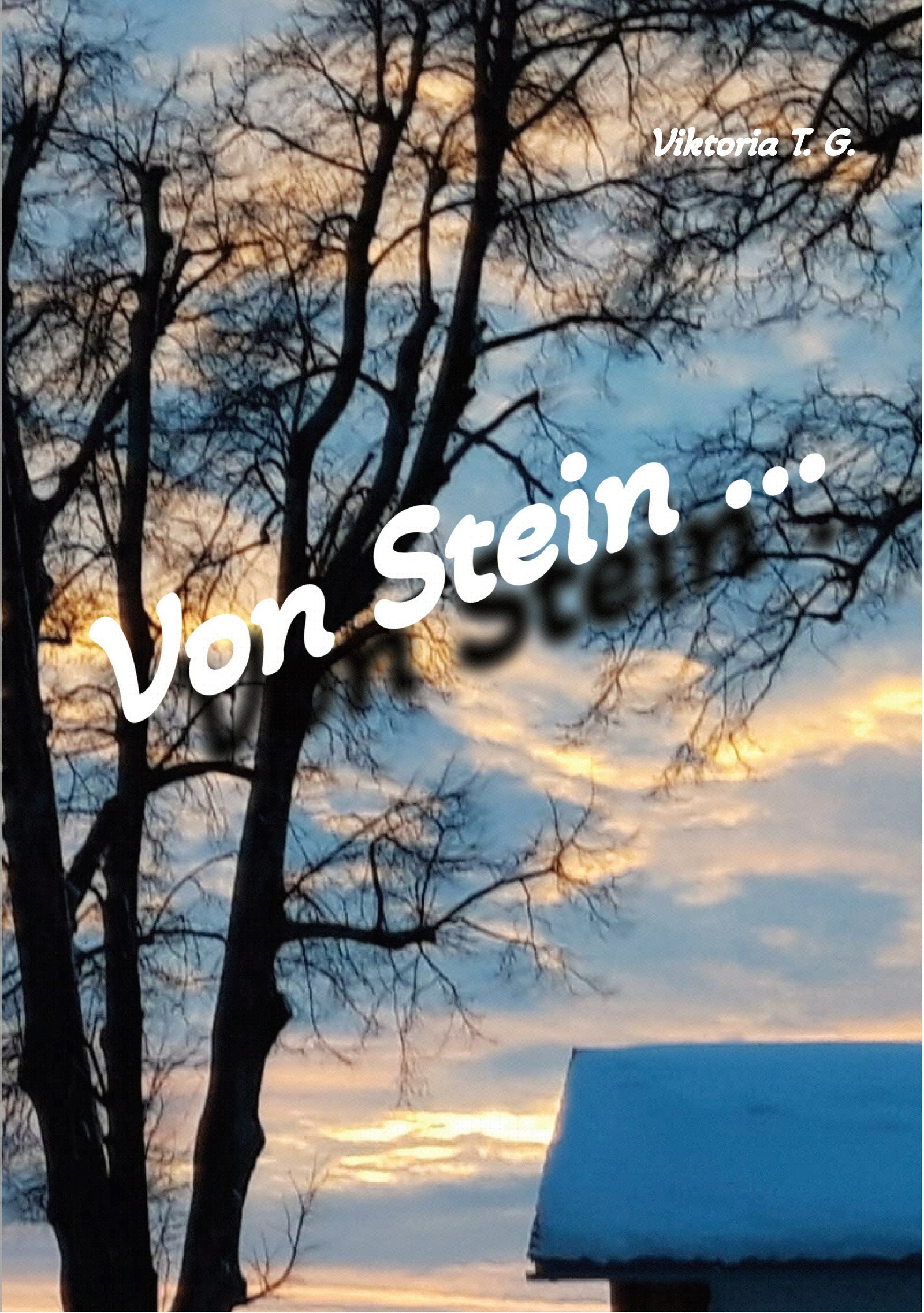 Von Stein