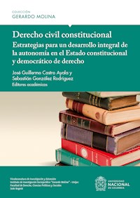 Derecho civil constitucional - José Guillermo Castro Ayala - ebook