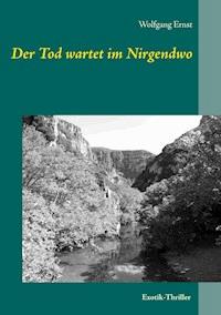 Der Tod wartet im Nirgendwo - Wolfgang Ernst - ebook