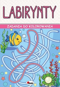 Zadania do kolorowania Labirynty -  - książka