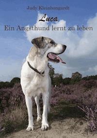 Luca - Judy Kleinbongardt - ebook
