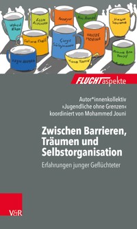 Zwischen Barrieren, Träumen und Selbstorganisation - Autorenkollektiv »Jugendliche ohne Grenzen« - ebook