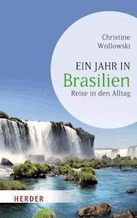 Ein Jahr in Brasilien - Christine Wollowski - ebook