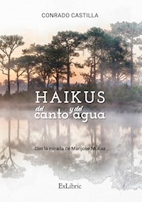Haikus del canto y del agua - Conrado Castilla - ebook
