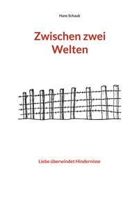 Zwischen zwei Welten - Hans Schaub - ebook