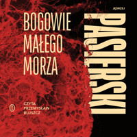 Bogowie małego morza - Jędrzej Pasierski - ebook + audiobook + książka