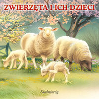Zwierzęta i ich dzieci -  - książka