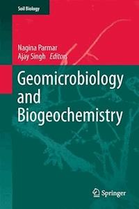 Geomicrobiology and Biogeochemistry - - ebook