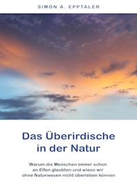 Das Überirdische in der Natur - Simon A. Epptaler - ebook