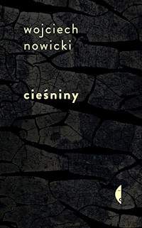 Cieśniny - Wojciech Nowicki - ebook + książka