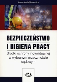 Bezpieczeństwo i higiena pracy Środki ochrony indywidualnej w wybranym orzecznictwie sądowym - Słowińska Anna Maria - książka