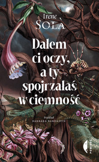 Dałem ci oczy, a ty spojrzałaś w ciemność - Irene Sola - ebook + książka