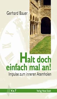 Halt doch einfach mal an! - Gerhard Bauer - ebook