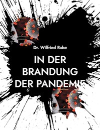 In der Brandung der Pandemie - Wilfried Rabe - ebook