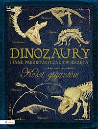 Dinozaury i inne prehistoryczne zwierzęta. Kości gigantów - Colson Rob - książka