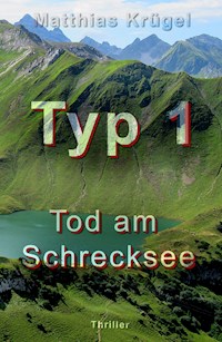 Typ 1 - Matthias Krügel - ebook