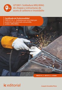 Soldadura MIG/MAG de chapas y estructuras de acero al carbono e inoxidable. FMEC0119_2 - Joaquín González Pérez - ebook