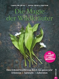 Wildkräuter Kochbuch: Die Magie der Wildkräuter. Eine Kräuterwanderung durch das ganze Jahr. Erkennen, sammeln, zubereiten. Wildkräuter bestimmen, Rezepte Wildpflanzen. - Caroline Deiß - ebook