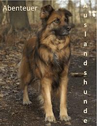 Abenteuer Auslandshunde - Daniela Tschepe - ebook
