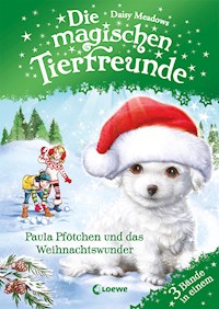 Die magischen Tierfreunde - Paula Pfötchen und das Weihnachtswunder - Daisy Meadows - ebook