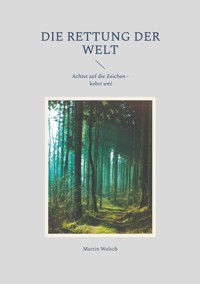 Die Rettung der Welt - Martin Welsch - ebook