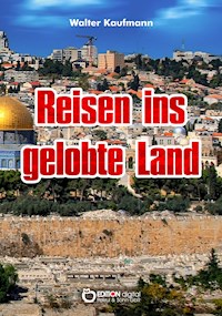 Reisen ins gelobte Land - Walter Kaufmann - ebook