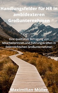 Handlungsfelder für HR in ambidexteren Großunternehmen - Maximilian Müller - ebook
