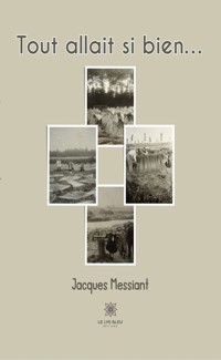 Tout allait si bien… - Jacques Messiant - ebook