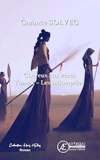 Cheveux aux vents - Tome 2 - Garance Solveg - ebook