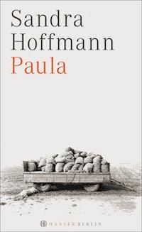 Paula - Sandra Hoffmann - ebook