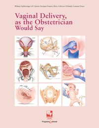 Vaginal Delivery, as the Obstetrician Would Say - Wilmar Saldarriaga Gil - ebook
