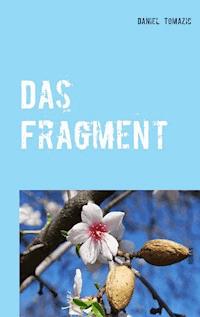Das Fragment - Daniel Tomazic - ebook