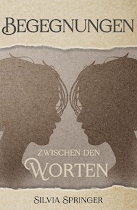 Begegnungen zwischen den Worten - Silvia Springer - ebook