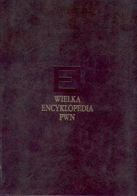 Wielka encyklopedia PWN Tom 11 -  - książka