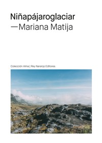 Niñapájaroglaciar - Mariana Matija - ebook