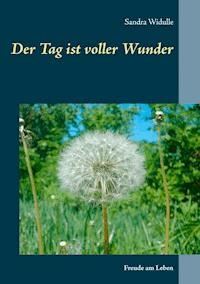 Der Tag ist voller Wunder - Sandra Widulle - ebook
