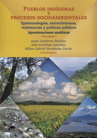 Pueblos indígenas y procesos socioambientales - Javier Gutiérrez Sánchez - ebook
